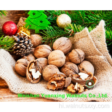 अखरोट गुठली लाइट एम्बर हिस्सों (LAH) को शानदार स्वाद के लिए